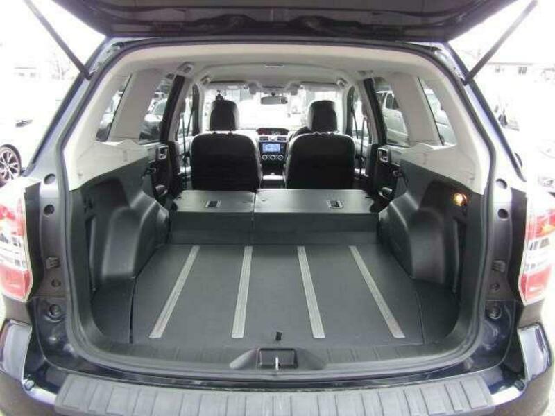 FORESTER-9