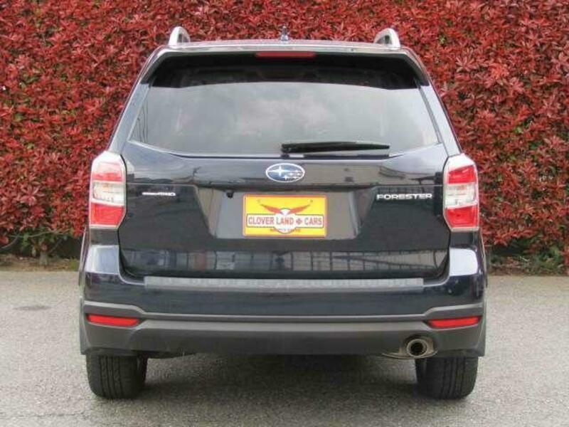 FORESTER-1