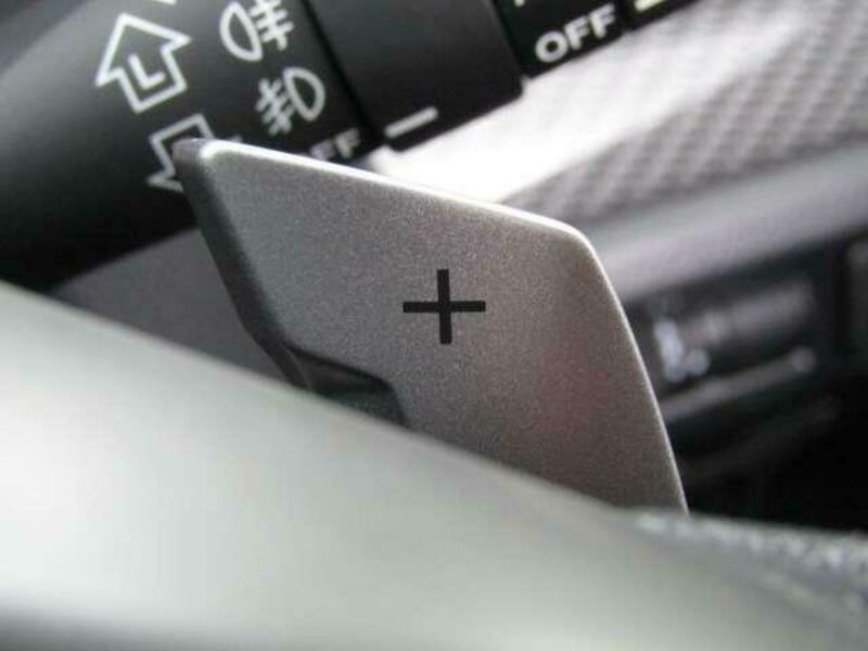 FORESTER-11