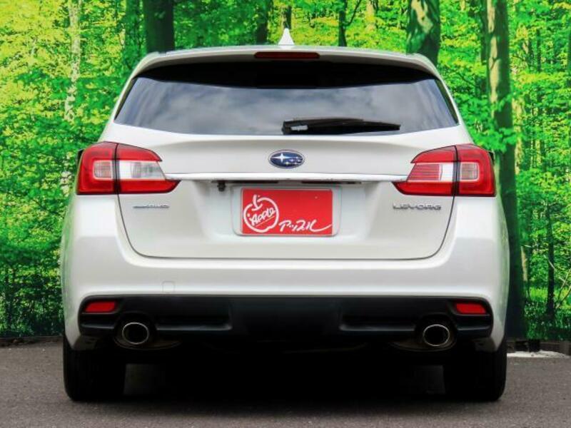 LEVORG