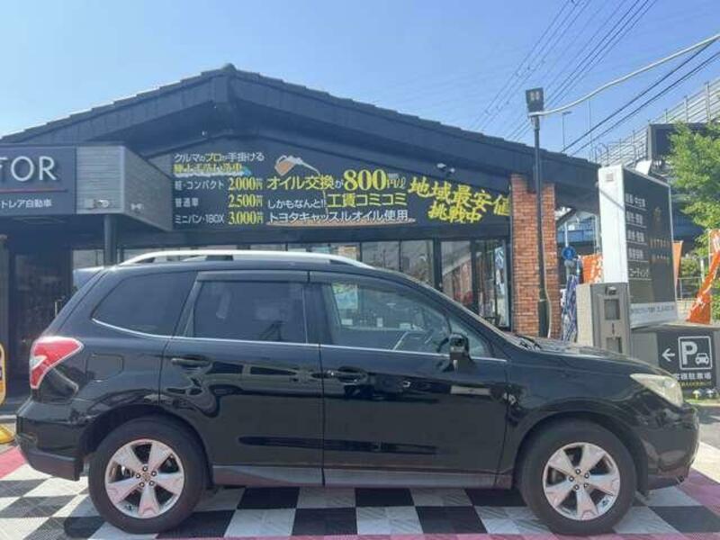 FORESTER-6