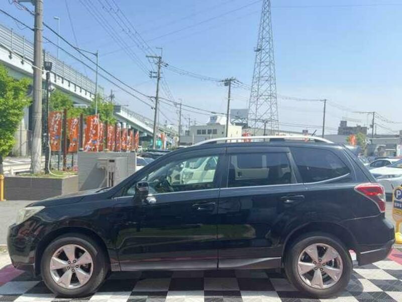 FORESTER-7