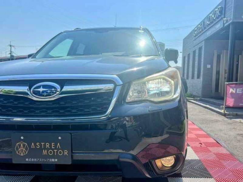 FORESTER-14