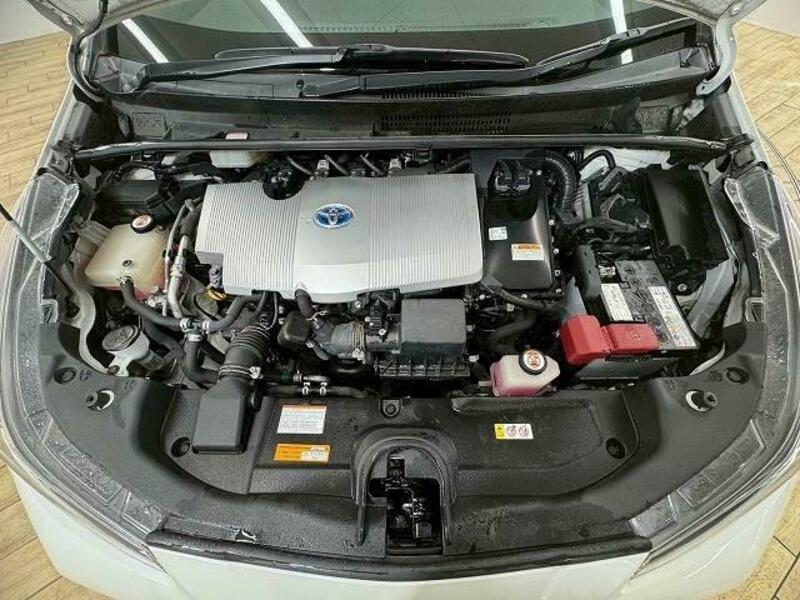 PRIUS-17