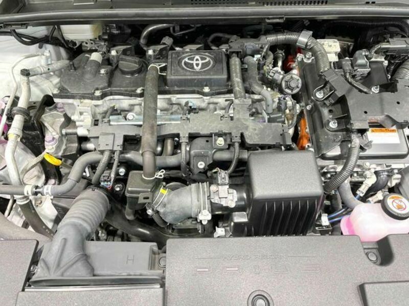 PRIUS-17
