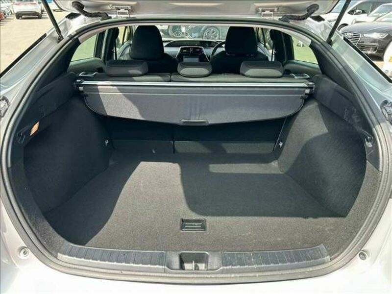 PRIUS-18