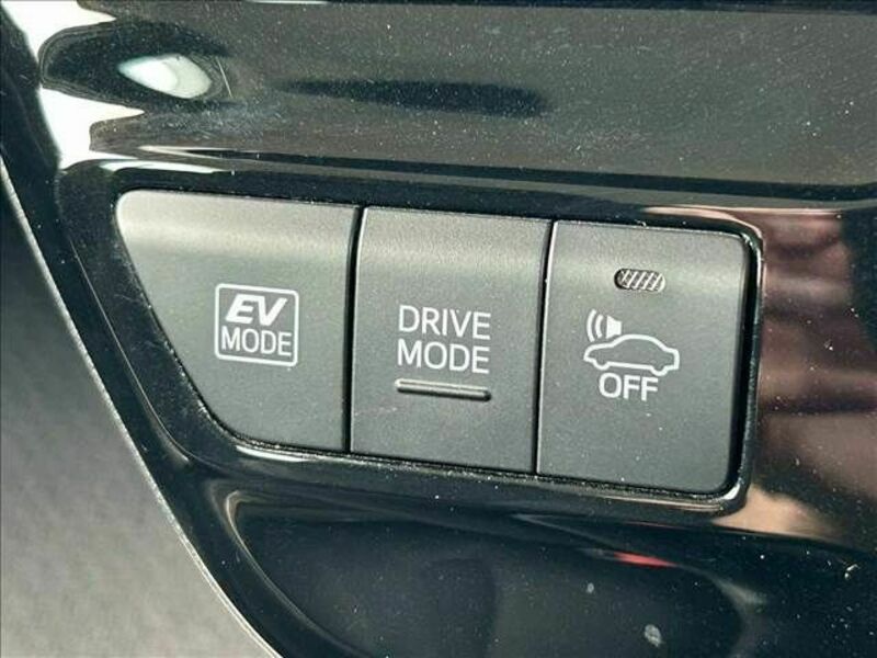 PRIUS-21