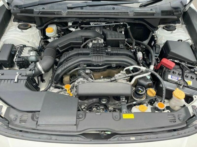 IMPREZA SPORT