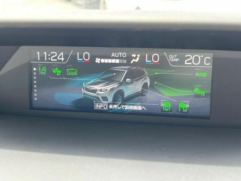 FORESTER-2