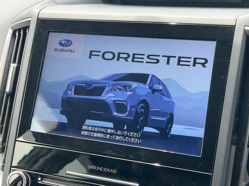 FORESTER-3