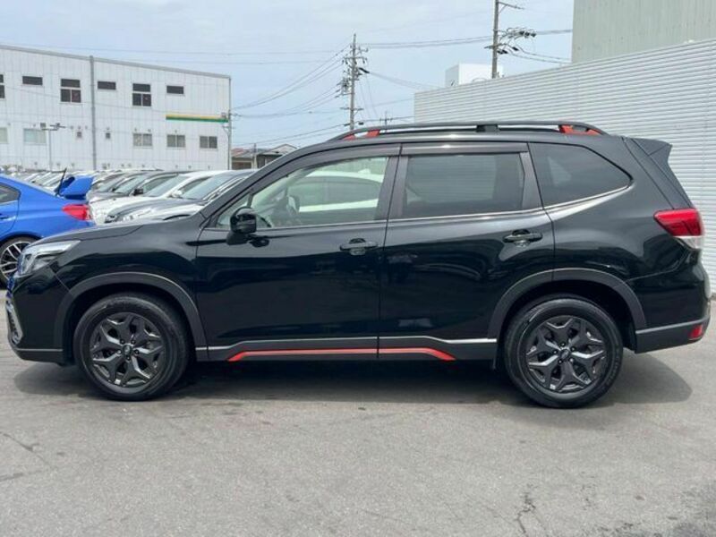 FORESTER-17