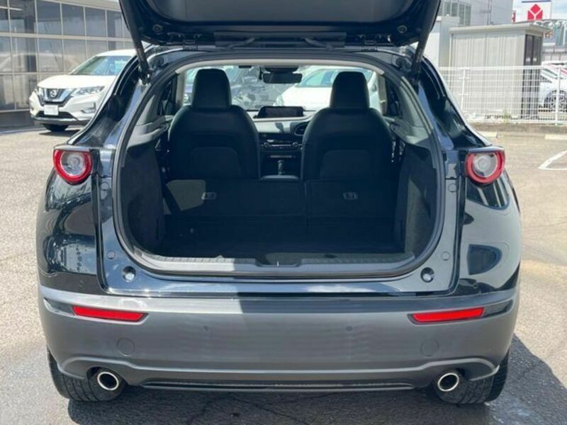 CX-30
