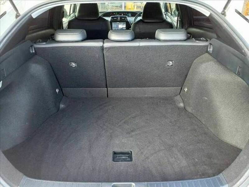 PRIUS-19