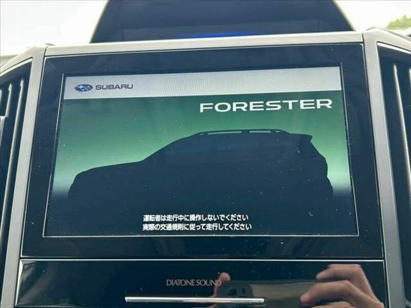 FORESTER