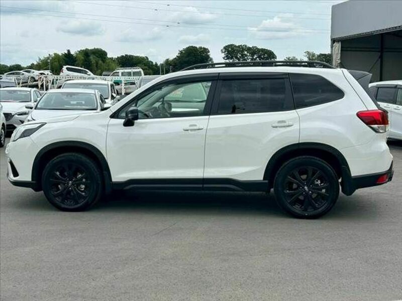 FORESTER