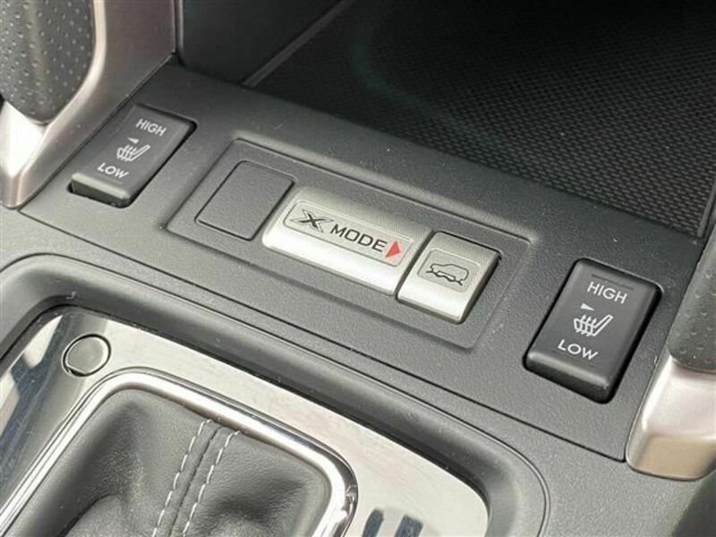FORESTER-10
