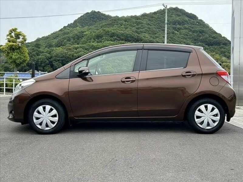 VITZ-10