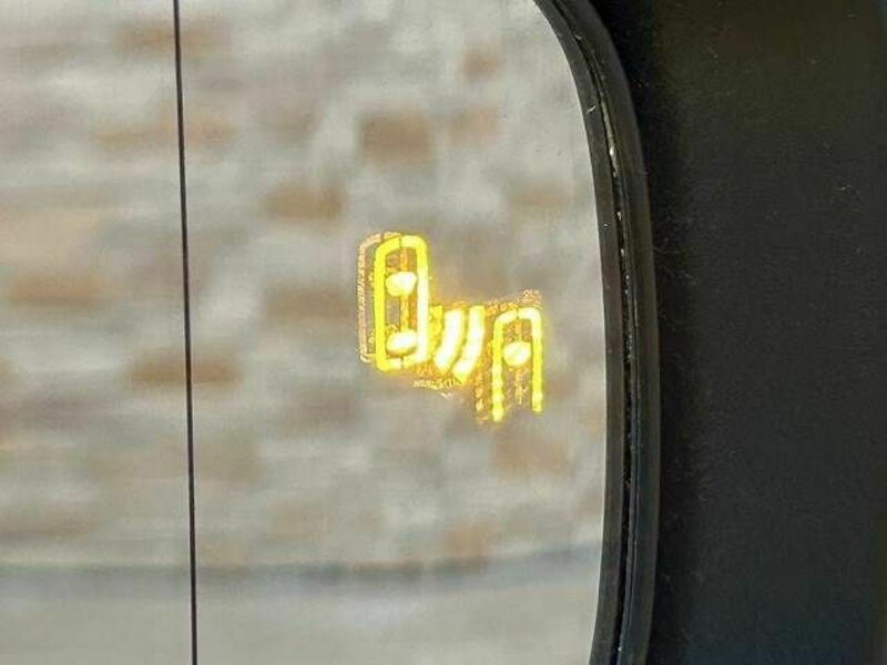 PRIUS-7