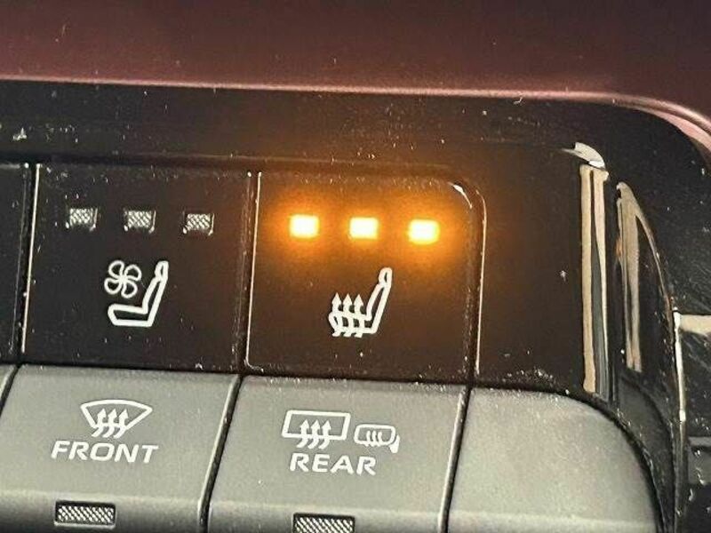 PRIUS-9