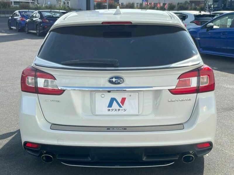 LEVORG