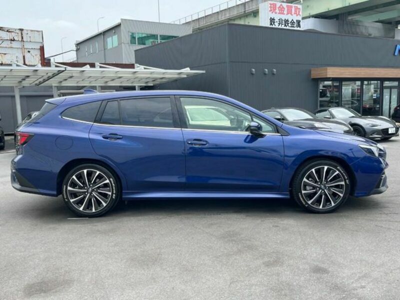 LEVORG