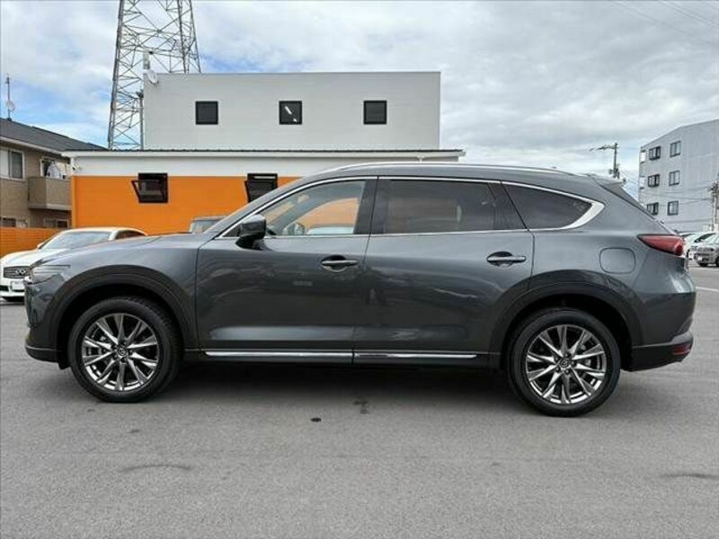 CX-8