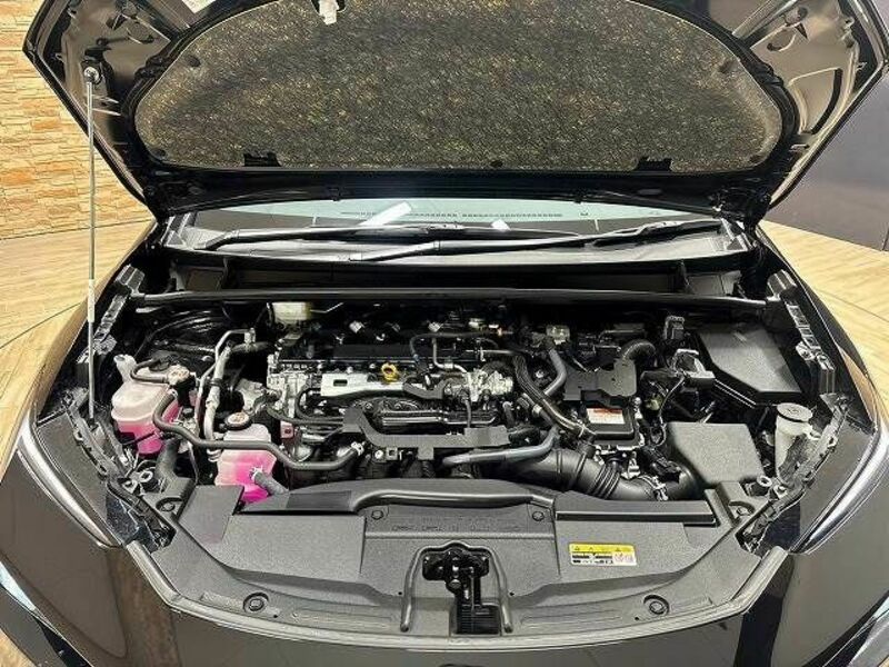 PRIUS-17
