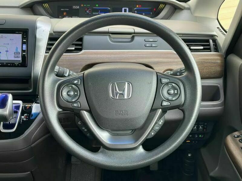FREED HYBRID-13