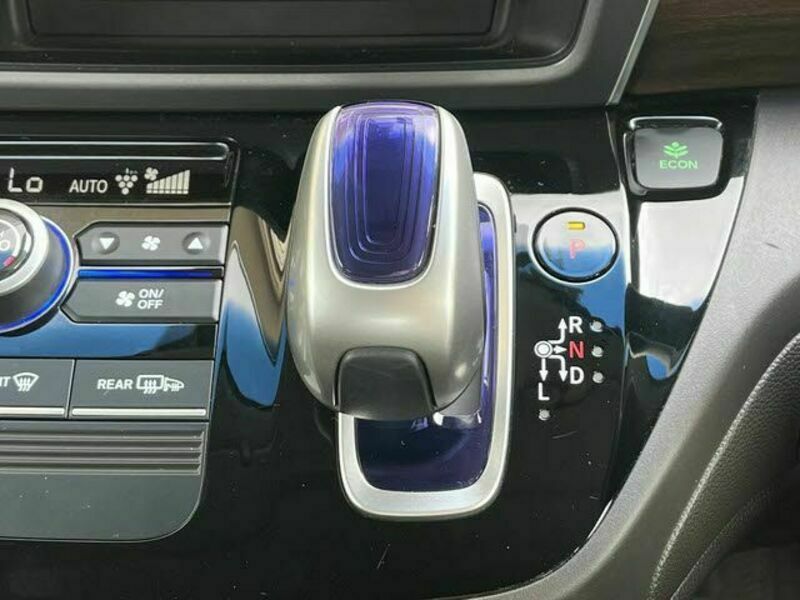 FREED HYBRID-19