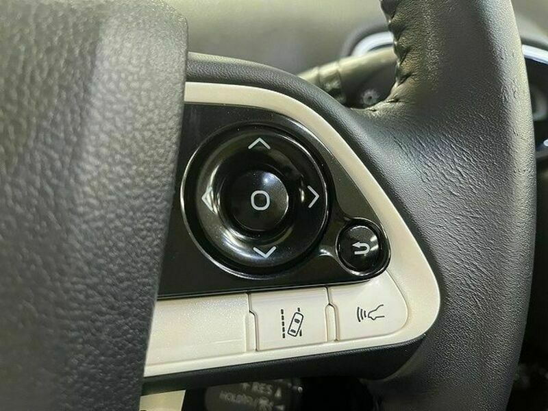 PRIUS-16