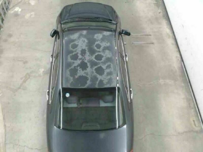 ACCORD-9