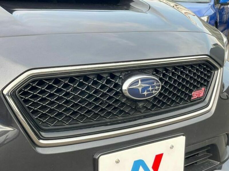 LEVORG-4