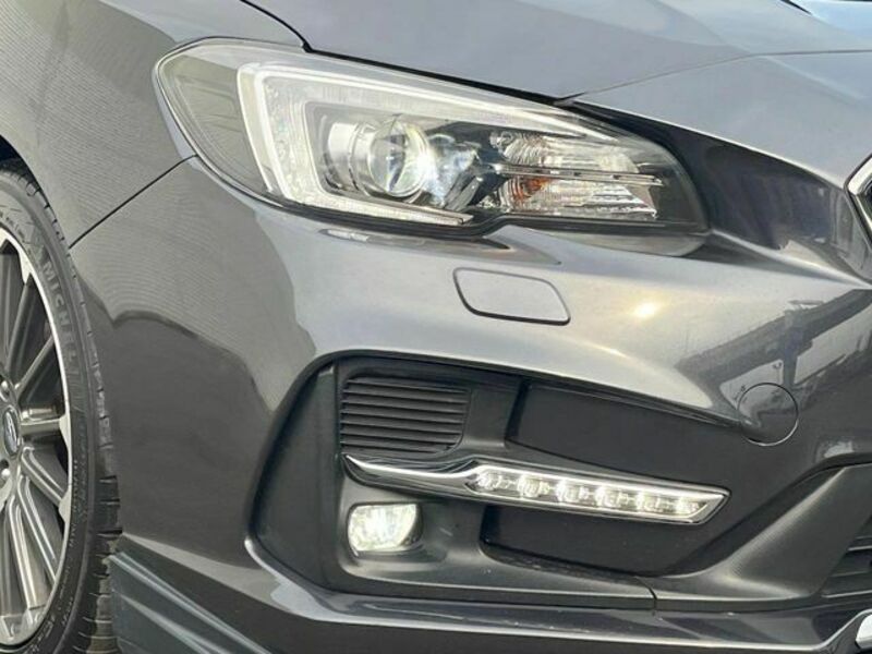 LEVORG-13