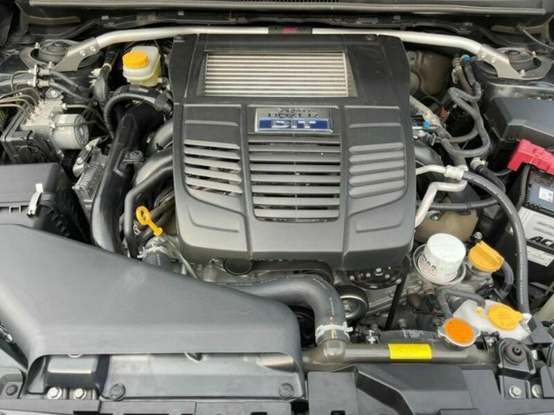 LEVORG-18