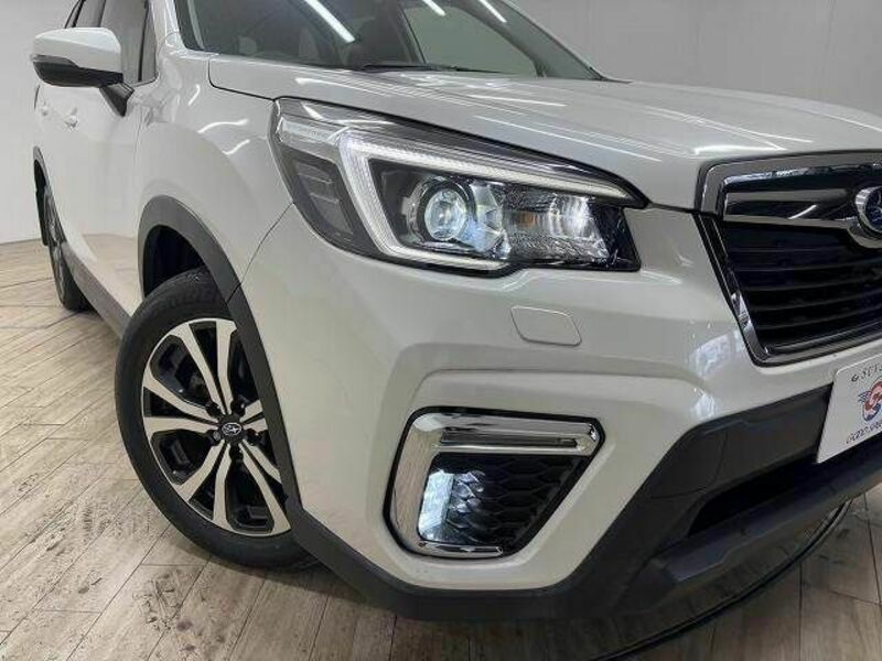 FORESTER-19