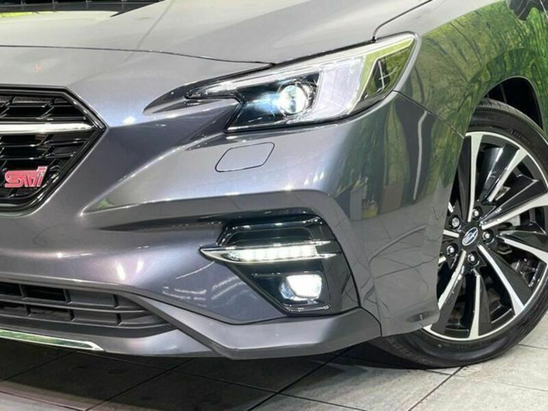 LEVORG-11