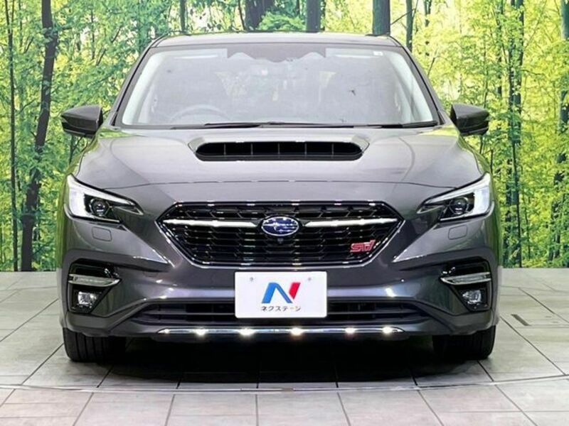 LEVORG-13