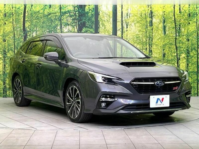 LEVORG-15