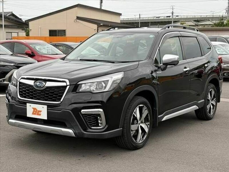 FORESTER