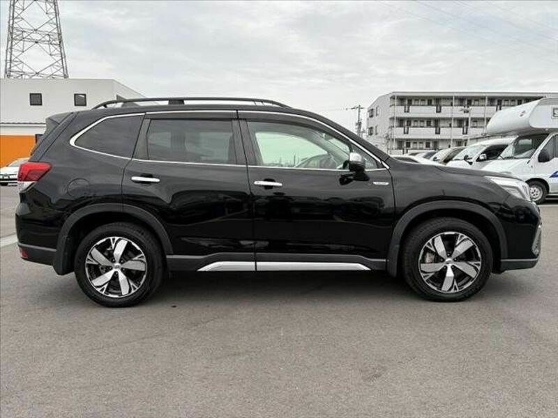 FORESTER
