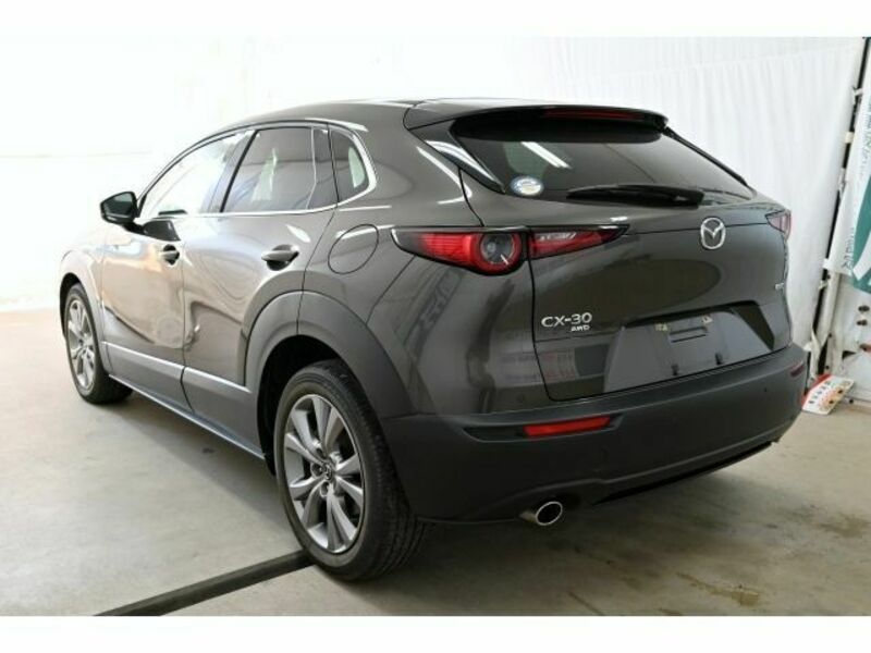CX-30