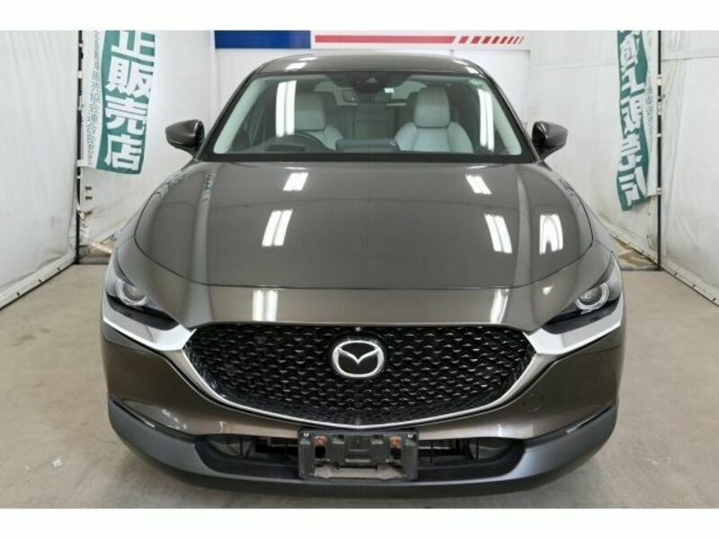 CX-30