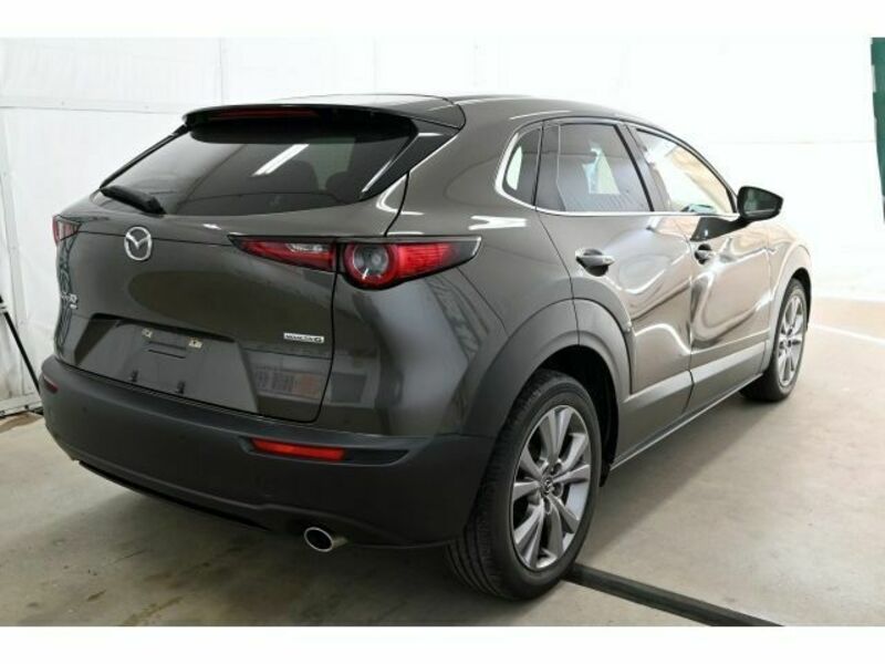 CX-30