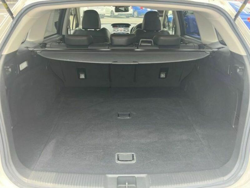 LEVORG-11