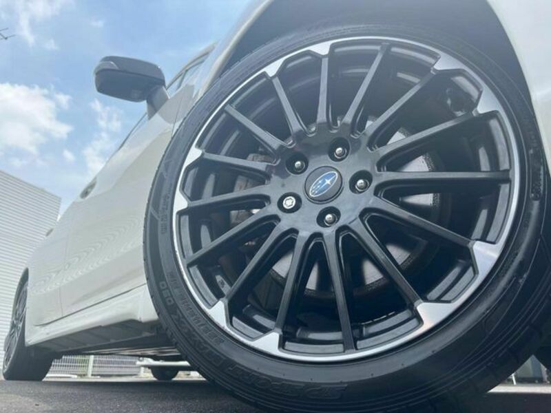 LEVORG-13