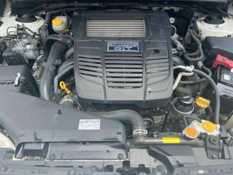 LEVORG-18