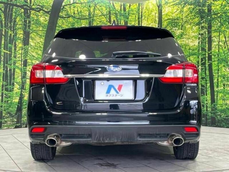 LEVORG