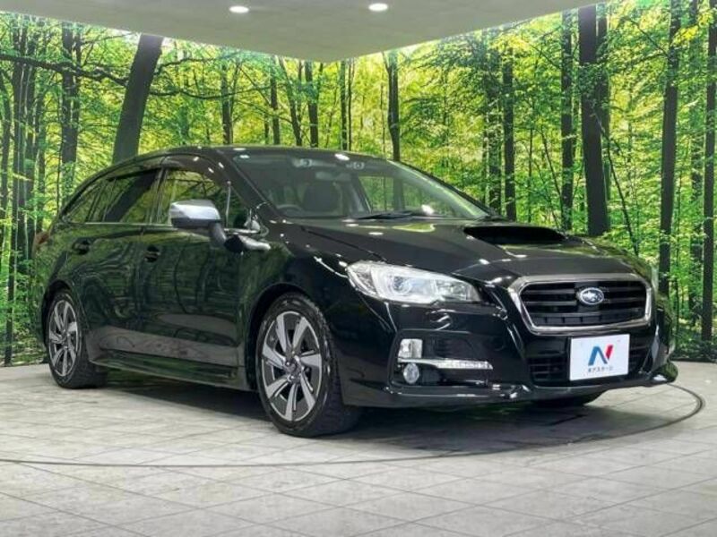 LEVORG