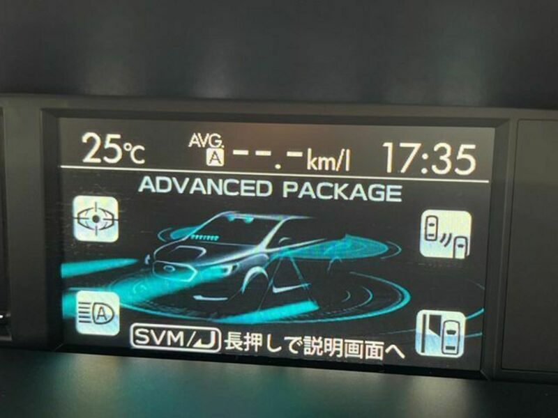 LEVORG-2