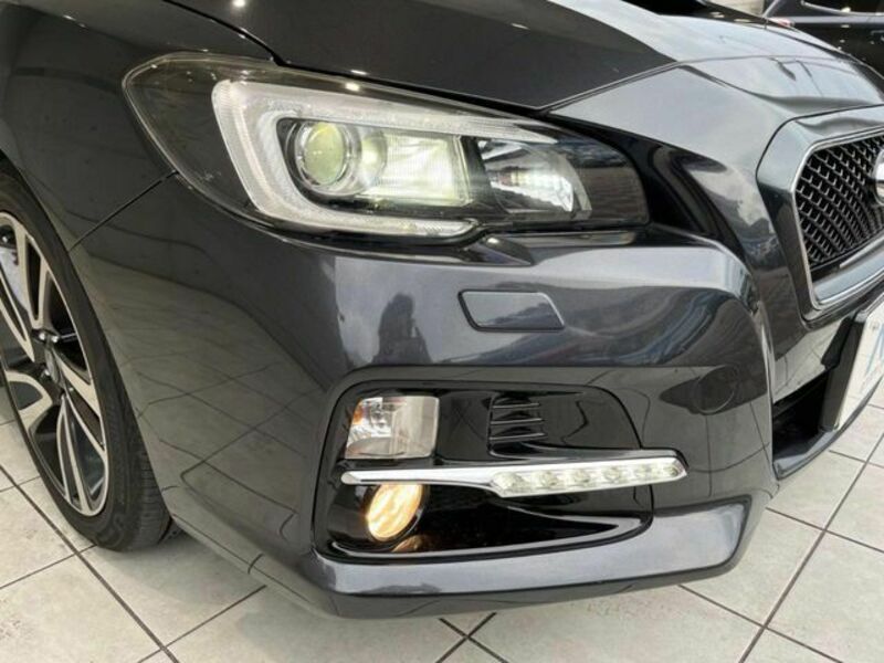 LEVORG-12
